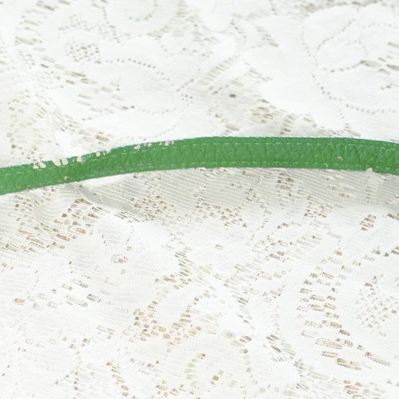 Green & Gold Steve Madden Mini Crossbody Purse - Picture 10 of 14